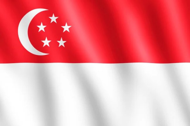 Singapore Tourist Visa Requirements (with LOI)