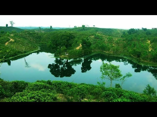 নয়নাভিরাম শ্রীমঙ্গল